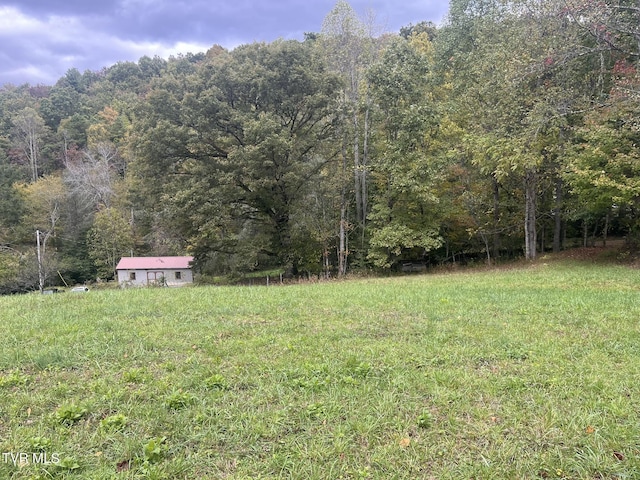 view of yard featuring a wooded view