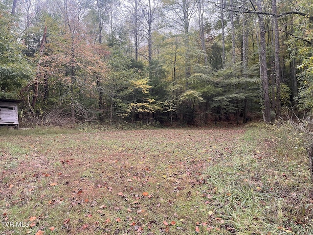 view of yard with a view of trees