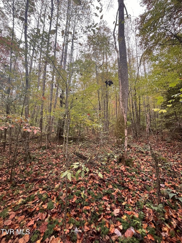 view of landscape with a wooded view