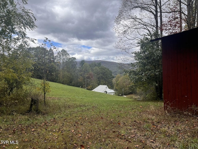 view of yard with a forest view