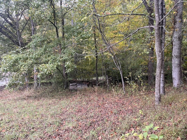 view of nature with a forest view