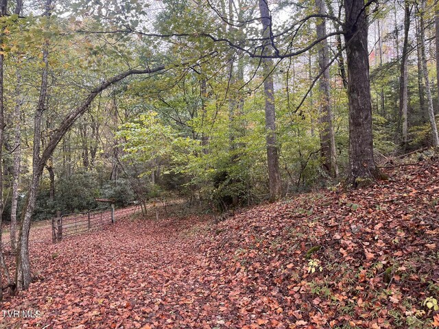 view of nature with a wooded view