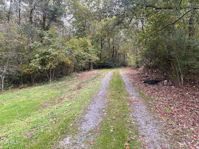 view of road featuring a view of trees