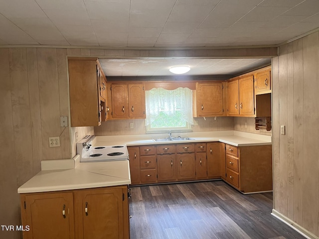 kitchen featuring a sink, brown cabinets, dark wood-style flooring, and wooden walls