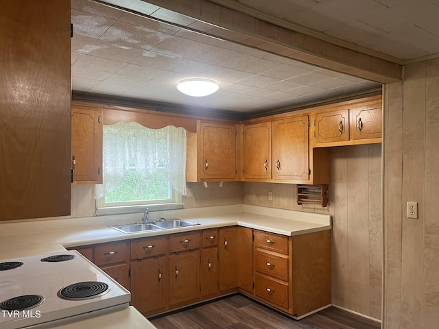 kitchen featuring brown cabinetry, electric range, dark wood-type flooring, light countertops, and a sink