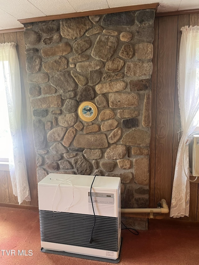 details with heating unit and carpet flooring