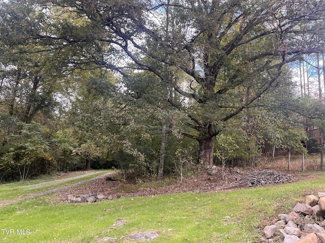 view of yard with a forest view