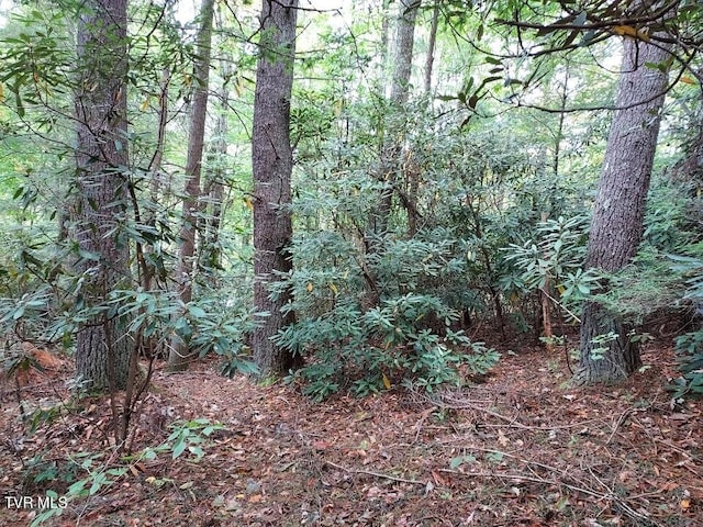 view of nature featuring a wooded view