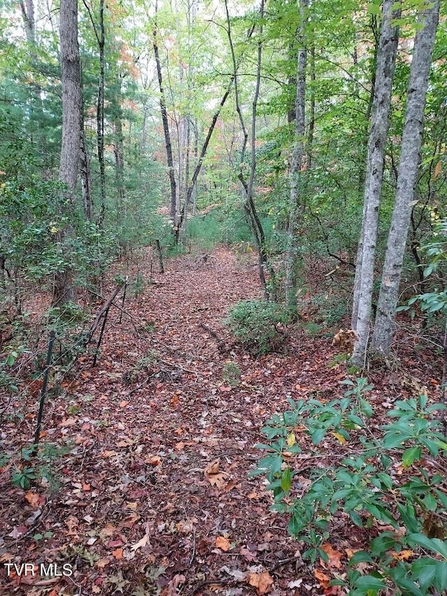 view of nature featuring a view of trees