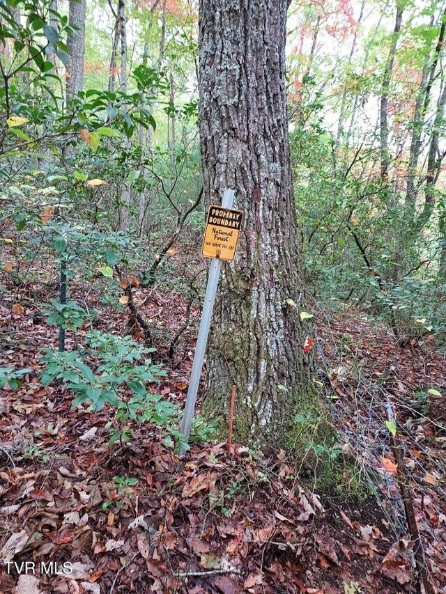 view of nature with a wooded view