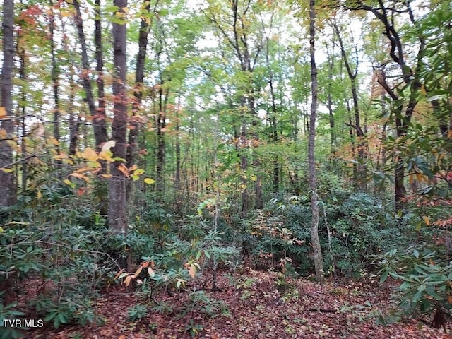 view of nature with a view of trees