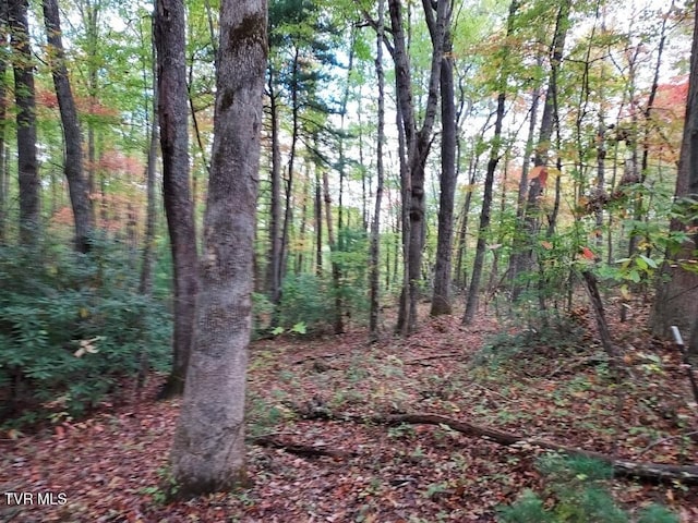 view of local wilderness with a wooded view
