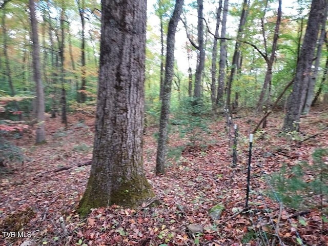 view of landscape with a forest view