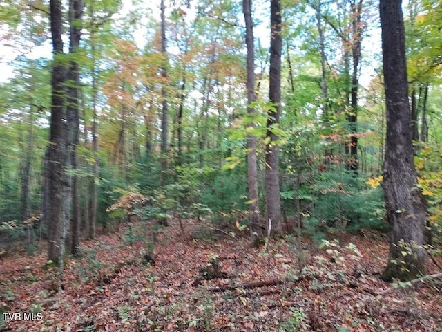 view of nature with a view of trees