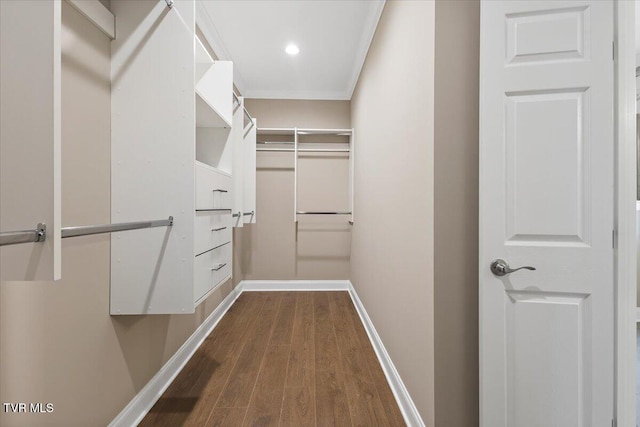 walk in closet featuring wood finished floors