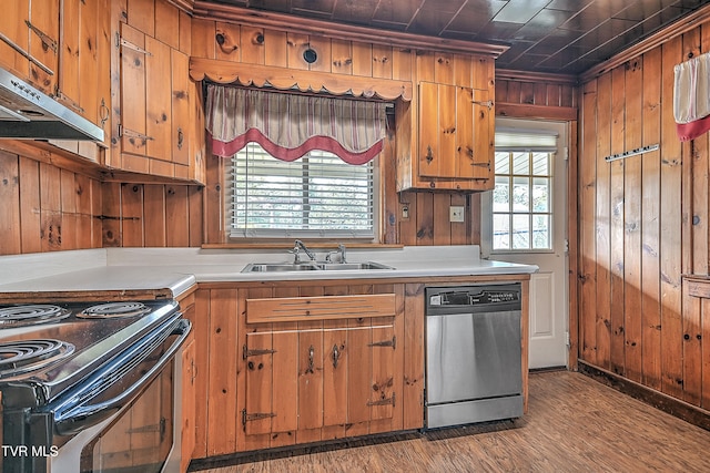 kitchen with wood-type flooring, appliances with stainless steel finishes, sink, and plenty of natural light