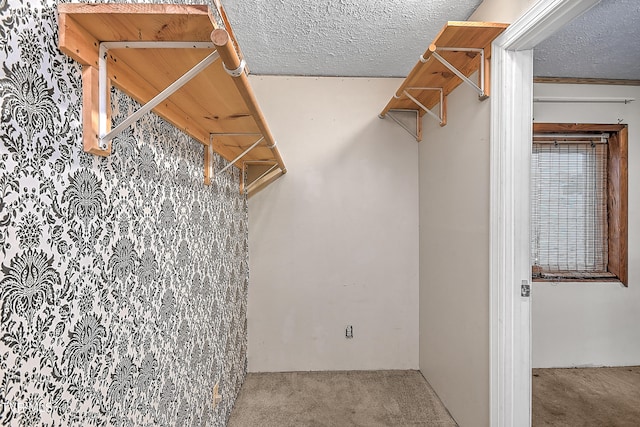 spacious closet featuring carpet floors