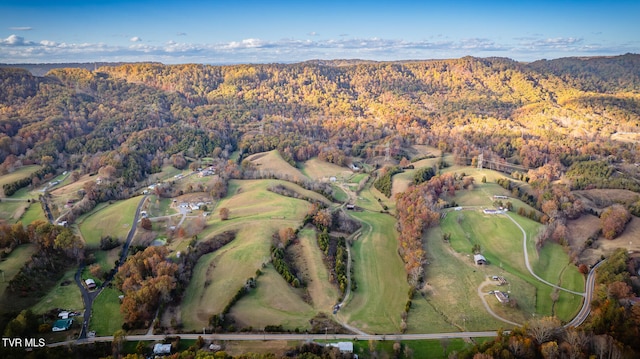 bird's eye view