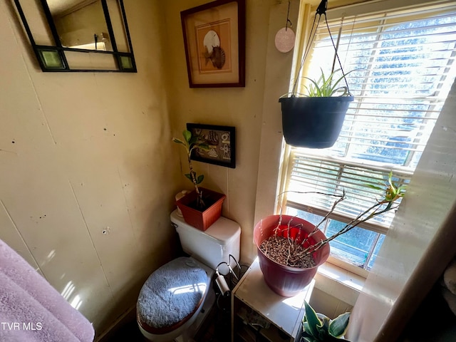 living area featuring a healthy amount of sunlight