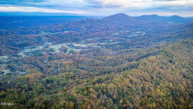 view of mountain feature