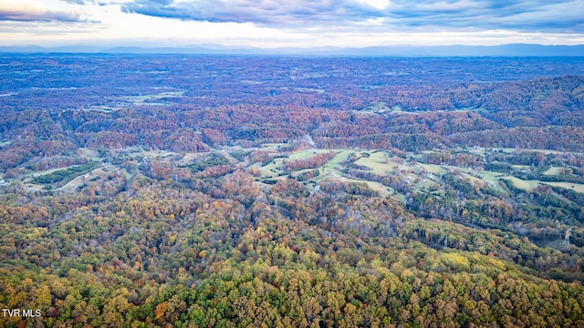 bird's eye view featuring a mountain view