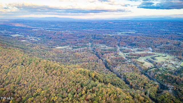 bird's eye view featuring a mountain view