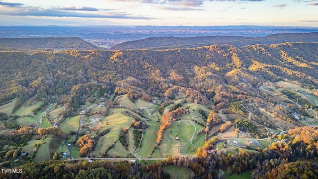 view of mountain feature