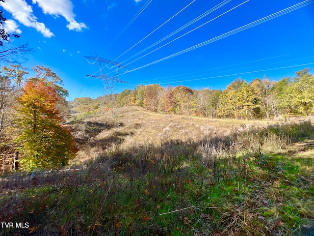 view of local wilderness