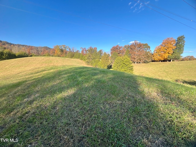 view of yard featuring a rural view