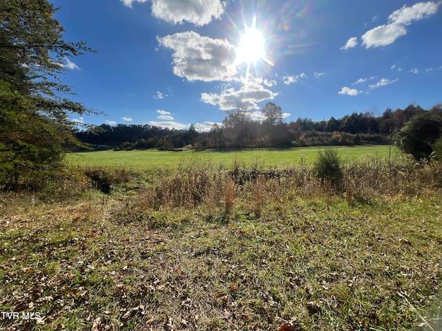 view of nature with a rural view