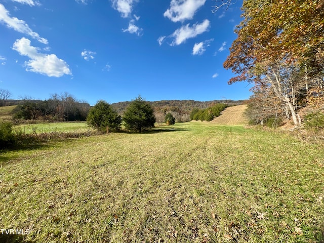 view of yard featuring a rural view