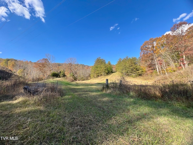 view of yard featuring a rural view