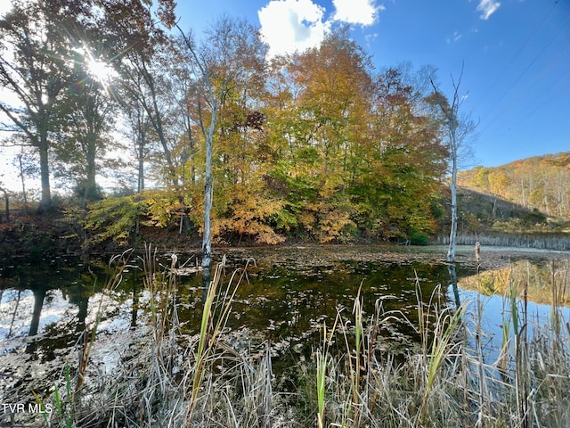 view of water feature