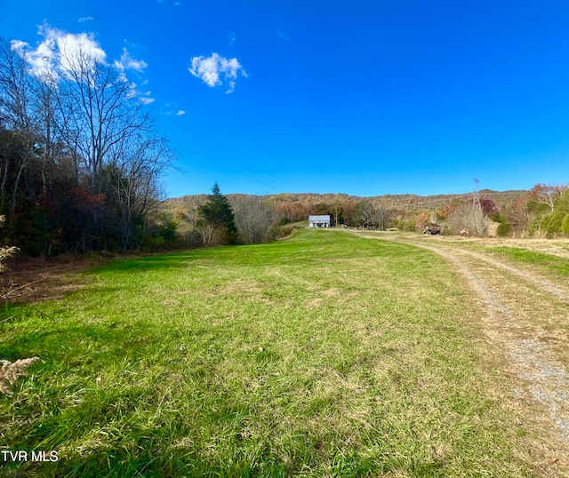 view of yard with a rural view