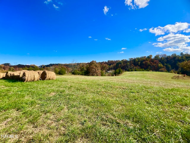 view of yard with a rural view