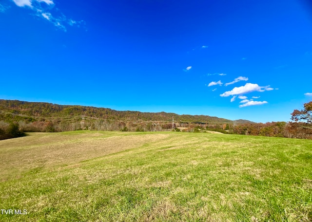 view of yard featuring a mountain view