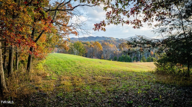 property view of mountains