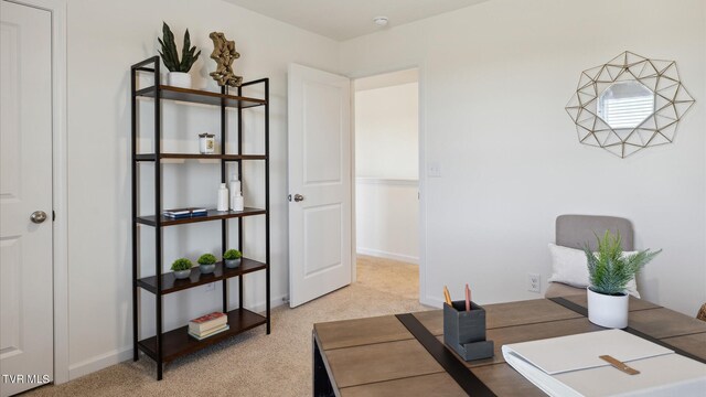 office area with light carpet and baseboards