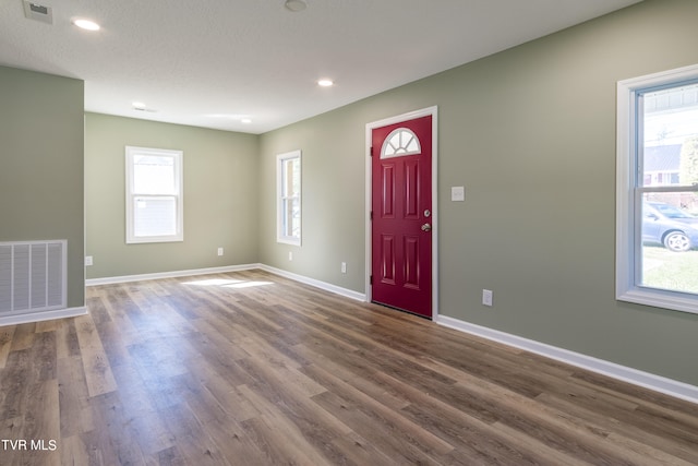 foyer with a textured ceiling, hardwood / wood-style flooring, and a healthy amount of sunlight