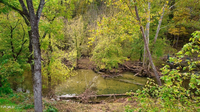 view of nature