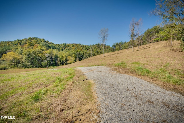 TBD Flower Gap Rd, Blackwater VA, 24221 land for sale