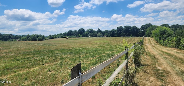 view of yard with a rural view