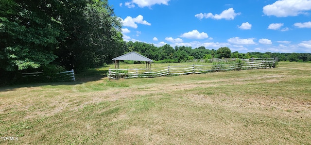 view of yard with a rural view