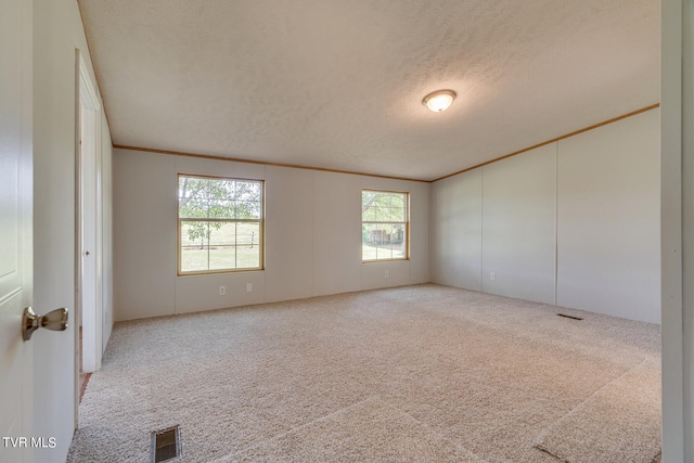 carpeted empty room with ornamental molding and a textured ceiling