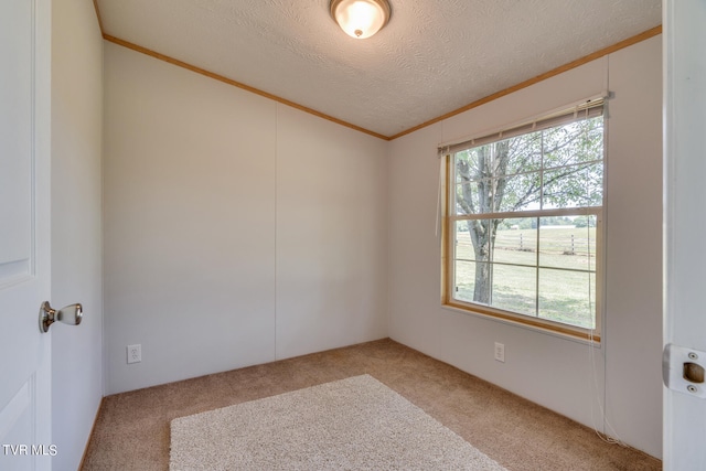 spare room with ornamental molding, a textured ceiling, a wealth of natural light, and light carpet