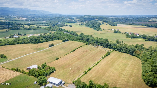 birds eye view of property with a mountain view and a rural view