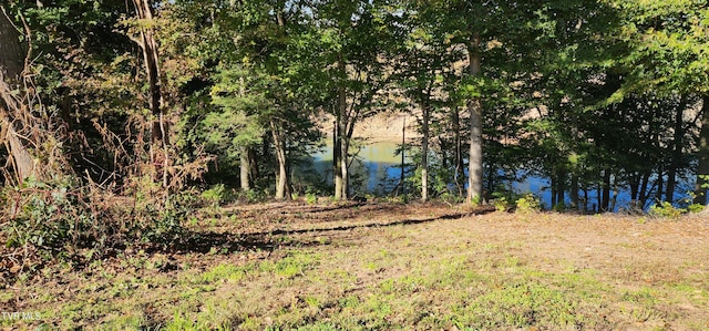 view of yard featuring a water view