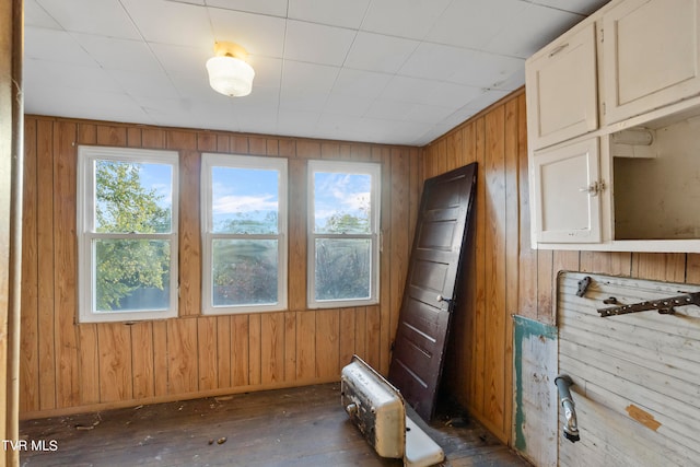 interior space featuring wooden walls and dark wood-type flooring