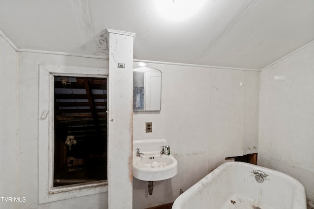 bathroom with sink and a washtub