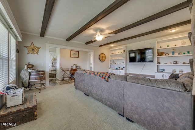 living room with beam ceiling, carpet, ceiling fan, built in features, and crown molding